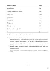 Centrinis bankas (CB) – išimtinis vyriausybės finansų reikalų agentas 9 puslapis