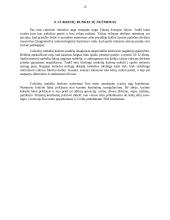 Cukrinių runkelių auginimo technologija 16 puslapis