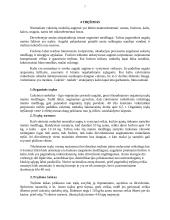 Cukrinių runkelių auginimo technologija 7 puslapis