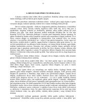 Cukrinių runkelių auginimo technologija 10 puslapis