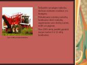 Cukrinių runkelių nuėmimo technologijos ir mašinos naudojamos Lietuvoje 5 puslapis