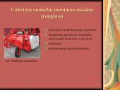 Cukrinių runkelių nuėmimo technologijos ir mašinos naudojamos Lietuvoje 6 puslapis