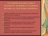 Cukrinių runkelių nuėmimo technologijos ir mašinos naudojamos Lietuvoje 9 puslapis