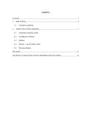 Svarbiausi dalykinio bendravimo ypatumai Kinijoje 2 puslapis