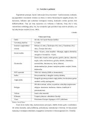 Svarbiausi dalykinio bendravimo ypatumai Kinijoje 5 puslapis