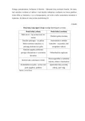 Svarbiausi dalykinio bendravimo ypatumai Kinijoje 6 puslapis