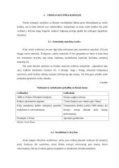 Svarbiausi dalykinio bendravimo ypatumai Kinijoje 7 puslapis