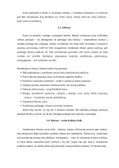 Svarbiausi dalykinio bendravimo ypatumai Kinijoje 9 puslapis