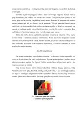 Svarbiausi dalykinio bendravimo ypatumai Kinijoje 10 puslapis