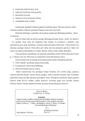 Dalykinis bendravimas Lietuvos banke 18 puslapis