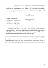 Dalykinis bendravimas Lietuvos banke 19 puslapis