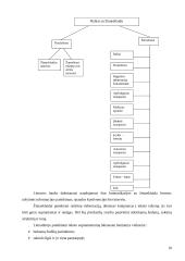 Dalykinis bendravimas Lietuvos banke 10 puslapis