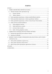 Darbo apmokėjimo diferencijavimas. Darbuotojų materialinio skatinimo sistemos. Įmonių vadovų darbo apmokėjimo organizavimas 2 puslapis