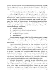 Darbo apmokėjimo diferencijavimas. Darbuotojų materialinio skatinimo sistemos. Įmonių vadovų darbo apmokėjimo organizavimas 13 puslapis