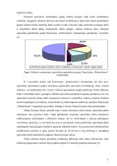 Darbo apmokėjimo diferencijavimas. Darbuotojų materialinio skatinimo sistemos. Įmonių vadovų darbo apmokėjimo organizavimas 15 puslapis