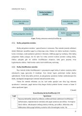Darbo apmokėjimo diferencijavimas. Darbuotojų materialinio skatinimo sistemos. Įmonių vadovų darbo apmokėjimo organizavimas 20 puslapis
