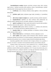 Darbo apmokėjimo diferencijavimas. Darbuotojų materialinio skatinimo sistemos. Įmonių vadovų darbo apmokėjimo organizavimas 6 puslapis