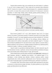 Darbo apmokėjimo diferencijavimas. Darbuotojų materialinio skatinimo sistemos. Įmonių vadovų darbo apmokėjimo organizavimas 7 puslapis