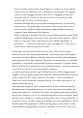 Darbo ekonomikos disciplina 13 puslapis