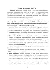 Darbo ekonomikos disciplina 4 puslapis