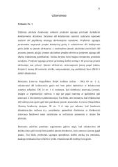 Ginčai darbe 11 puslapis