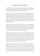 Ginčai darbe 7 puslapis