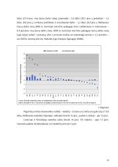 Darbo pasiūla – laisvos darbo vietos 12 puslapis