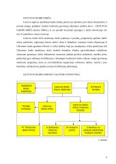 Darbo pasiūla – laisvos darbo vietos 3 puslapis