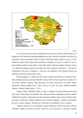 Darbo pasiūla – laisvos darbo vietos 9 puslapis