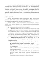 Darbo su asmeniniu kompiuteriu pagrindai 3 puslapis