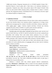 Darbo su asmeniniu kompiuteriu pagrindai 5 puslapis