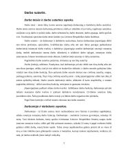 Darbo sutarties sąlygos ir sudarymas 3 puslapis