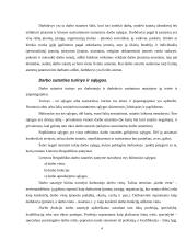 Darbo sutarties sąlygos ir sudarymas 4 puslapis