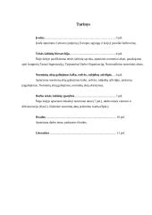 Darbo teisės šaltiniai 2 puslapis