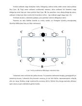 Delegacijos iš Kinijos vizito vadyba 16 puslapis