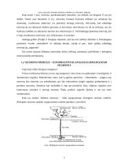 Dirbtiniai neuroniniai tinklai (DNT) 3 puslapis