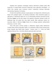 Dirbtiniai neuroniniai tinklai (DNT) 8 puslapis