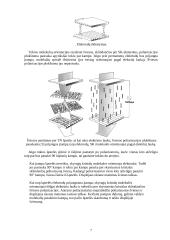 Displėjai 8 puslapis