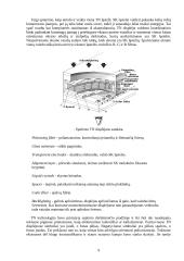 Displėjai 10 puslapis