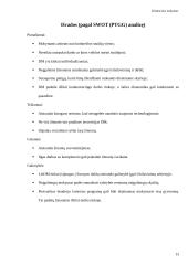 Distancinis (nuotolinis) mokymas 13 puslapis