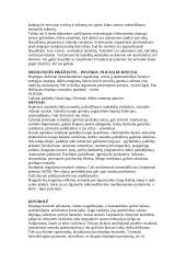 Kas yra dopingas? 3 puslapis