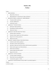 Druskos kubelių idėjos pagrindimas 2 puslapis