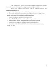 Druskos kubelių idėjos pagrindimas 11 puslapis