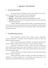 Druskos kubelių idėjos pagrindimas 12 puslapis