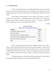 Druskos kubelių idėjos pagrindimas 13 puslapis