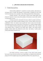 Druskos kubelių idėjos pagrindimas 14 puslapis