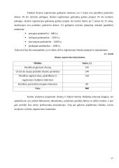 Druskos kubelių idėjos pagrindimas 17 puslapis