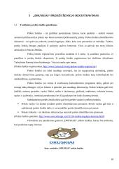 Druskos kubelių idėjos pagrindimas 18 puslapis