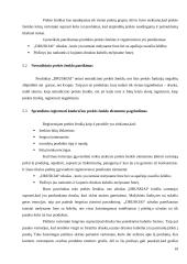 Druskos kubelių idėjos pagrindimas 19 puslapis