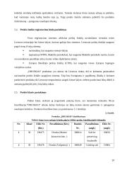 Druskos kubelių idėjos pagrindimas 20 puslapis